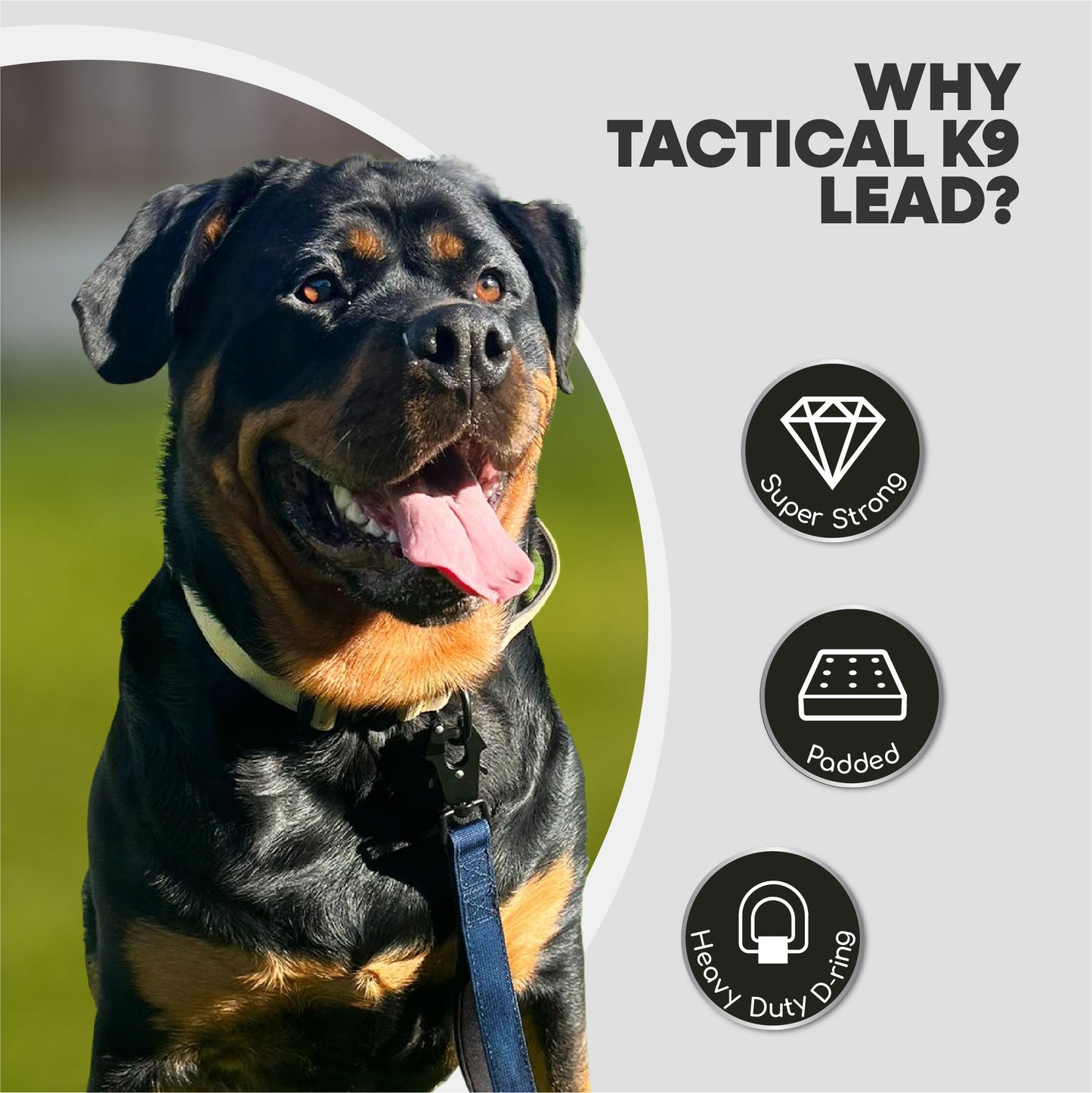 HugglePets Tactical K9 Endurance Dog Lead