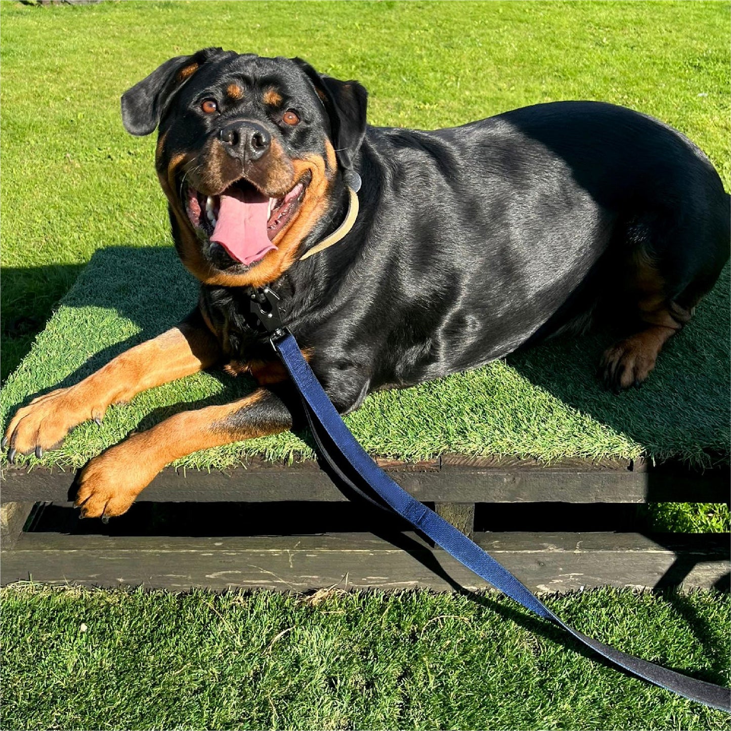 HugglePets Tactical K9 Endurance Dog Lead