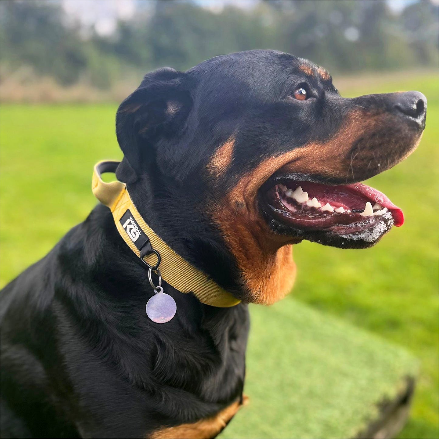 HugglePets Tactical K9 Endurance Adjustable Dog Collar