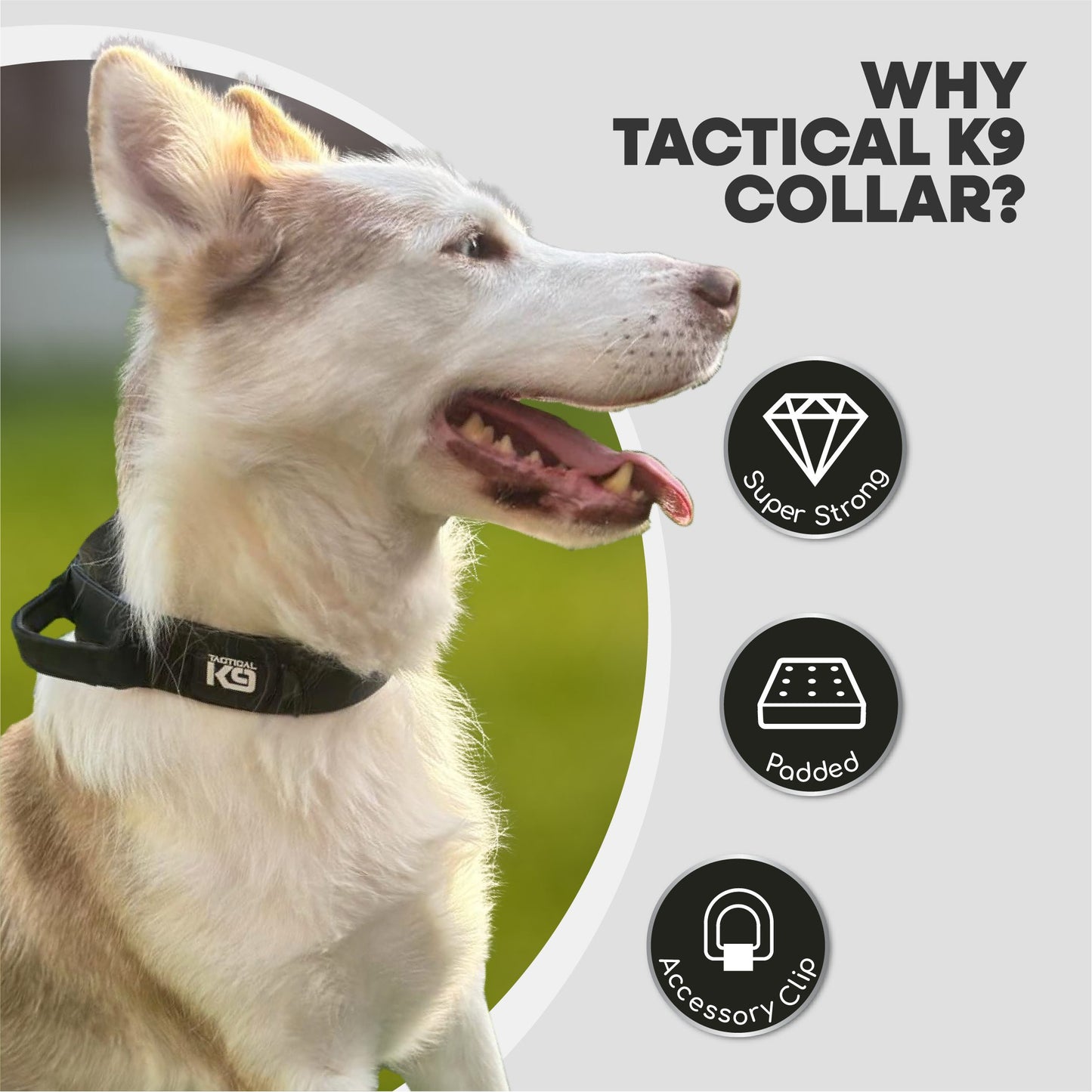 HugglePets Tactical K9 Endurance Adjustable Dog Collar