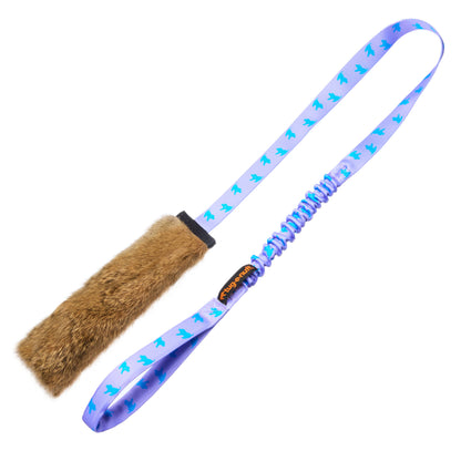 dog tug toy with a textured handle and feather on a white background