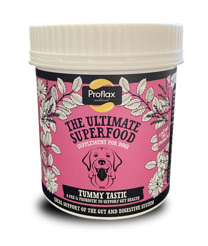 Proflax Tummy Tastic - Pre & Probiotics for Dogs