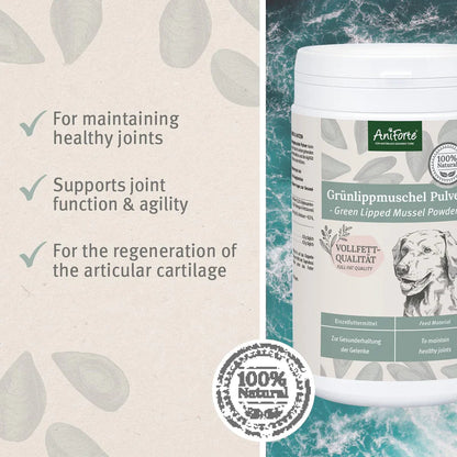 AniForte Green Lipped Mussel Powder for Dogs and Cats Joint Support Supplement 100g