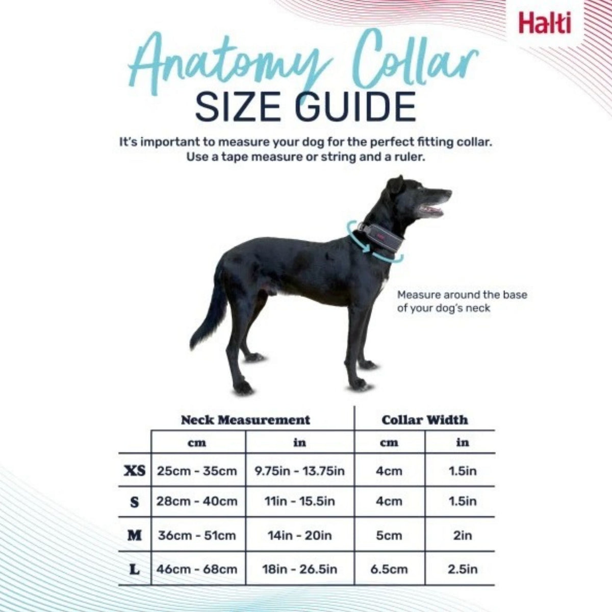 COA Halti Anatomy Collar Grey