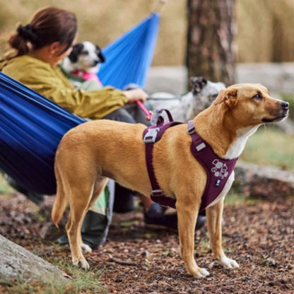 Hurtta Weekend Warrior Harness II ECO Eggplant