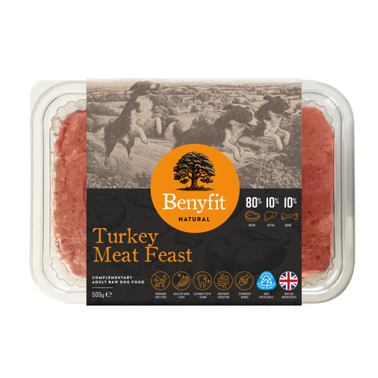 Benyfit Natural Turkey Meat Feast 80-10-10