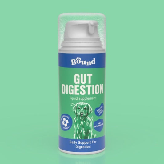 Bound Pets Gut Digestion Liquid Supplement 100ml