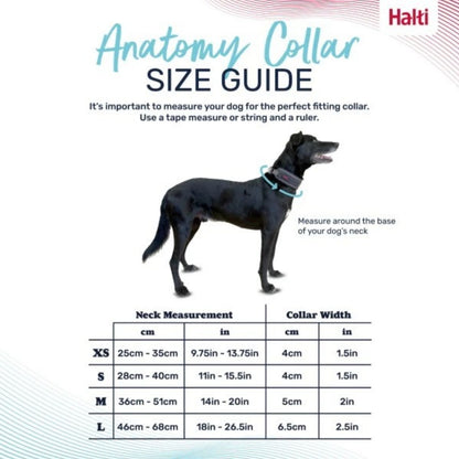 COA Halti Anatomy Collar Magenta