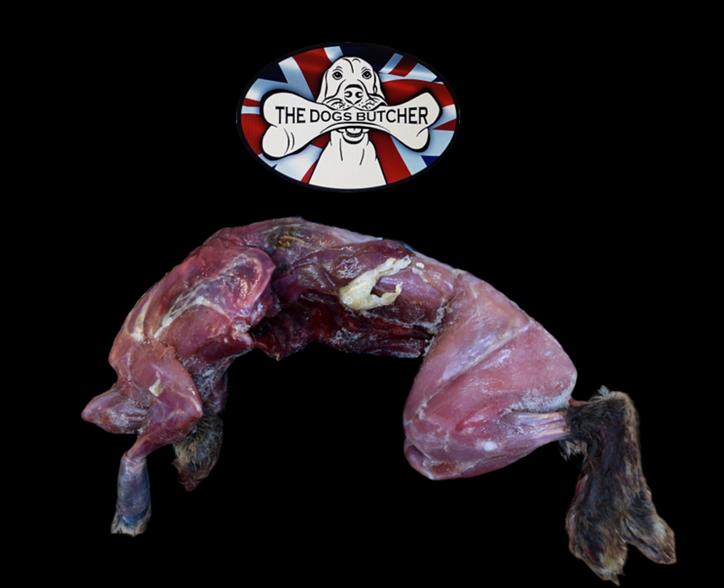 The Dog's Butcher Skinned Rabbit