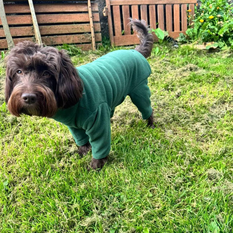 Pet Wiz Four Legged Dog Fleeces -Teal