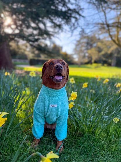 The Mint Teddy Fleece