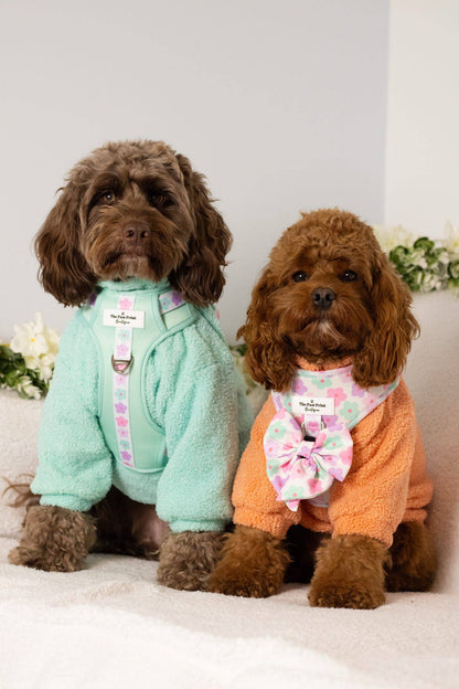 The Mint Teddy Fleece