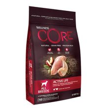Wellness CORE Dog Dry Active Life Chicken with Turkey 10kg