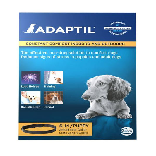 Adaptil product packaging for dogs with a blue background and dog illustration.