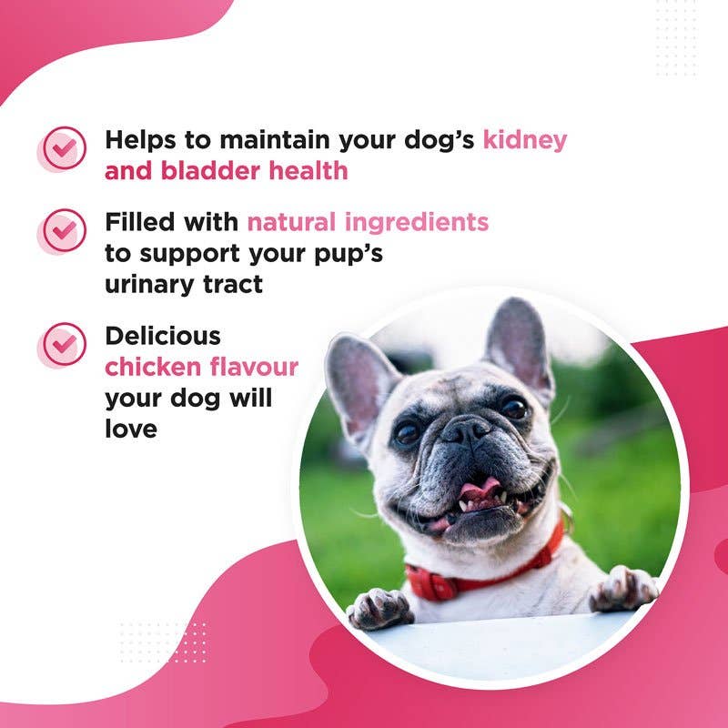 BERRI – Bladder & Kidney Cranberry Support for Dogs
