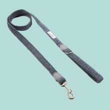 Doodlebone Dinky Dog Lead: Blue Cord / 20mm