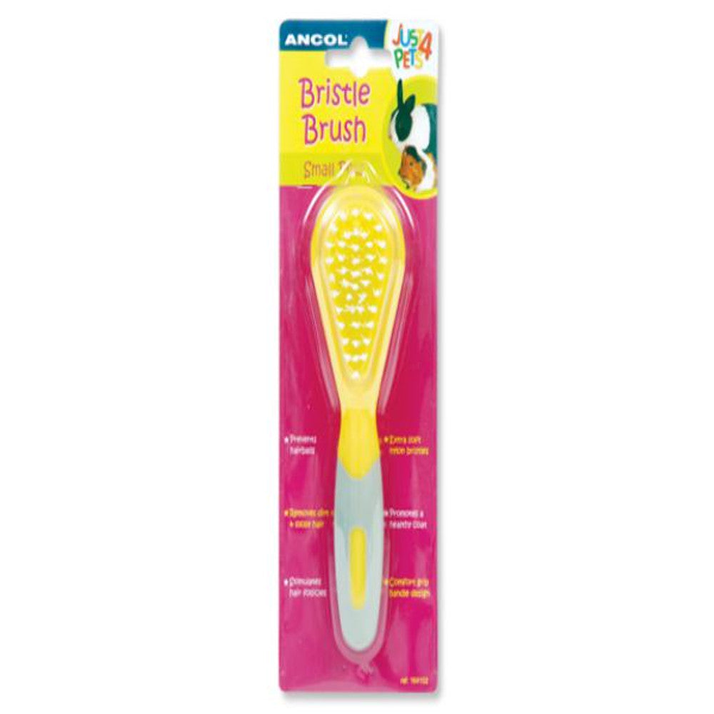 Ancol Small Animal Bristle Brush