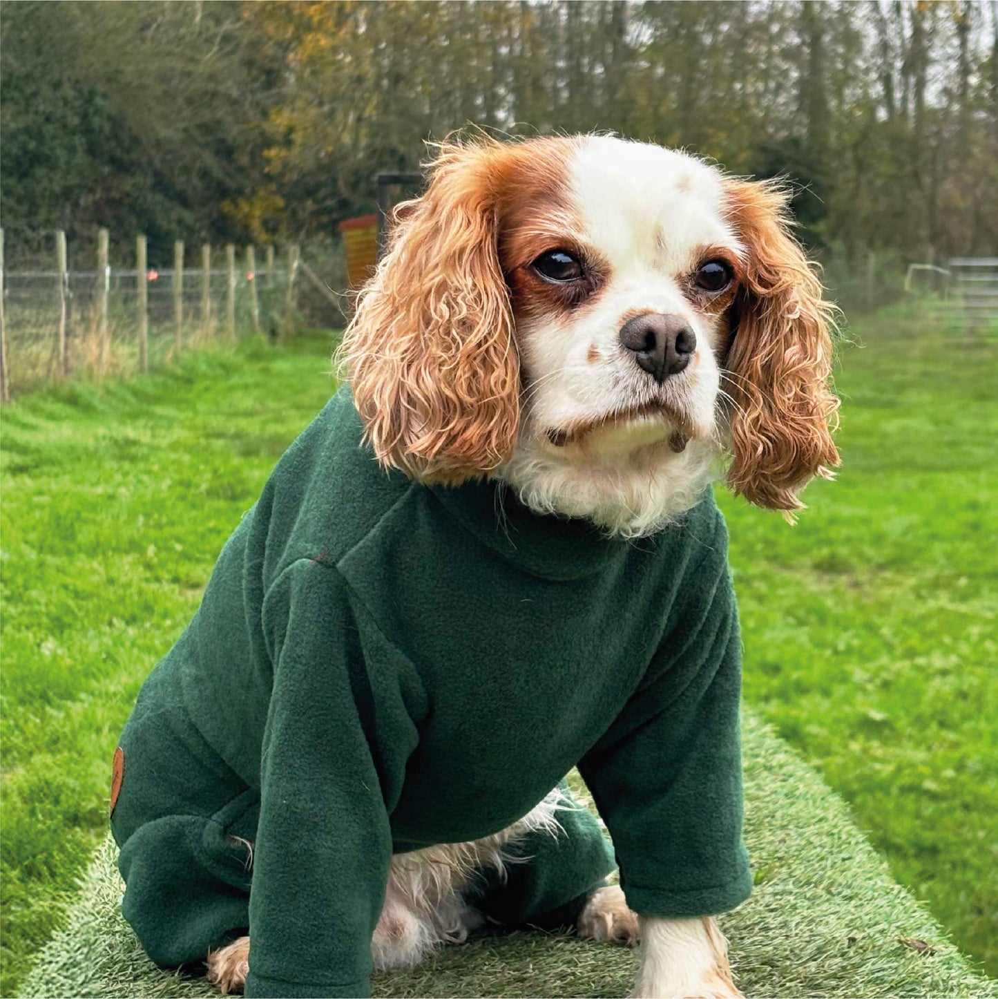 HugglePets Legacy Polar Fleece Dog Explorer: Khaki