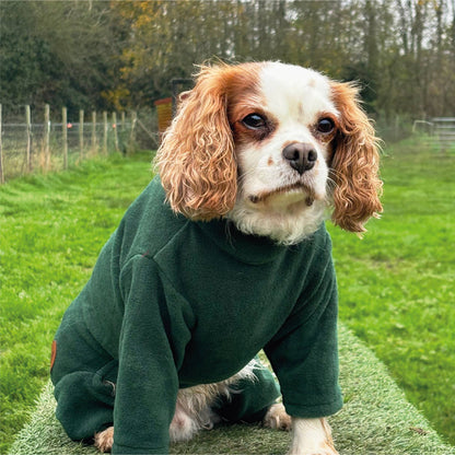 HugglePets Legacy Polar Fleece Dog Explorer: Khaki
