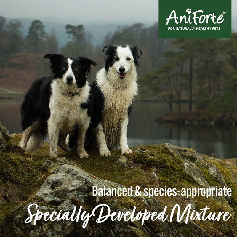 Aniforte BARF Complete