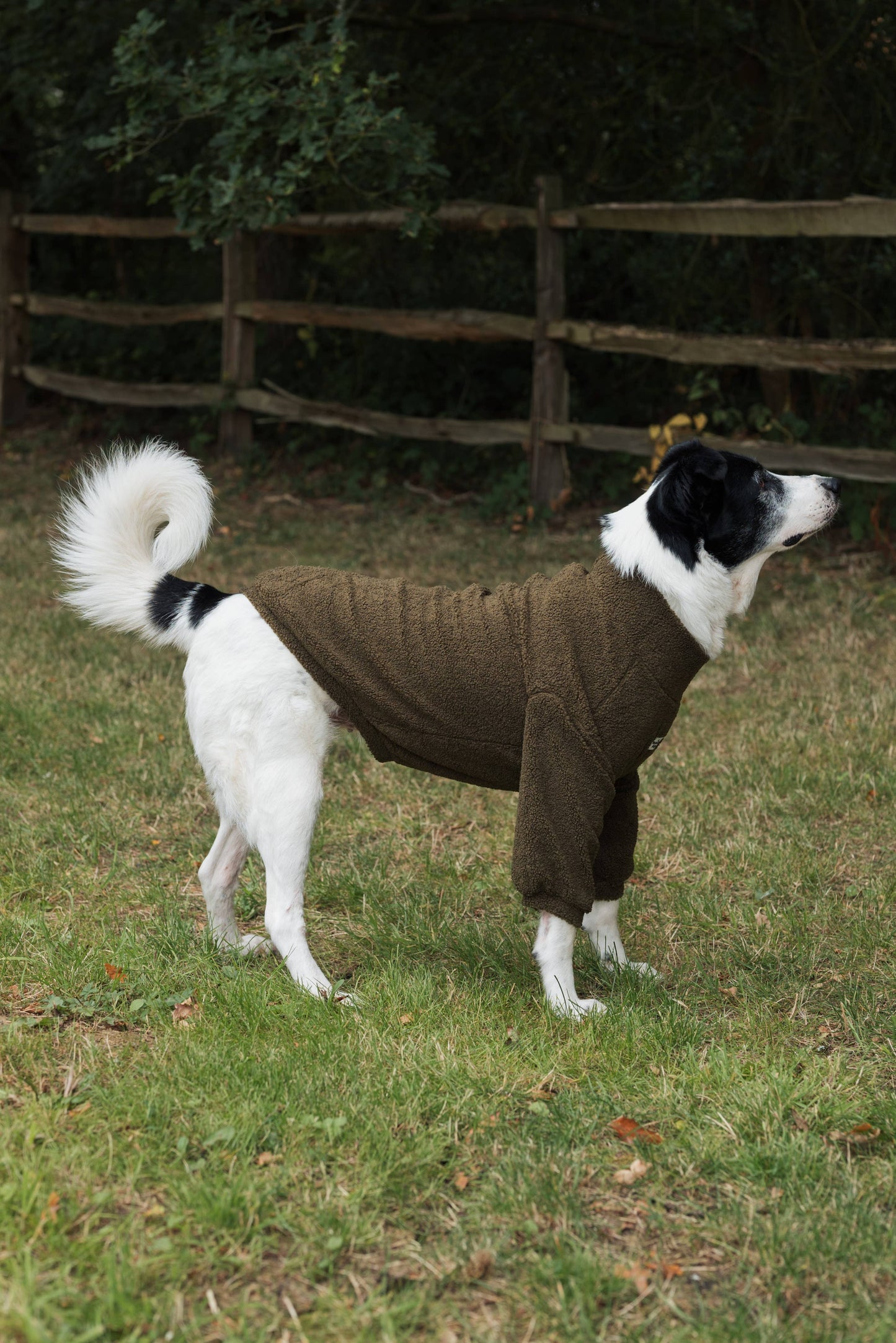 The Khaki Teddy Fleece