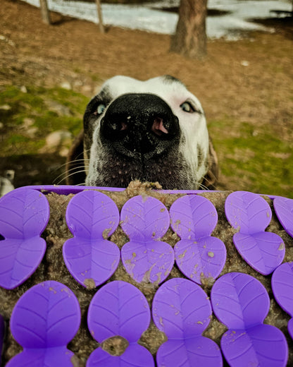 Spunky Pup Lick Pad - Slow Feeder Duos: Petal