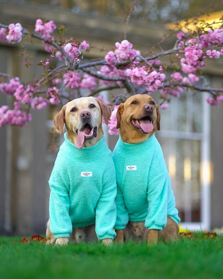 The Mint Teddy Fleece