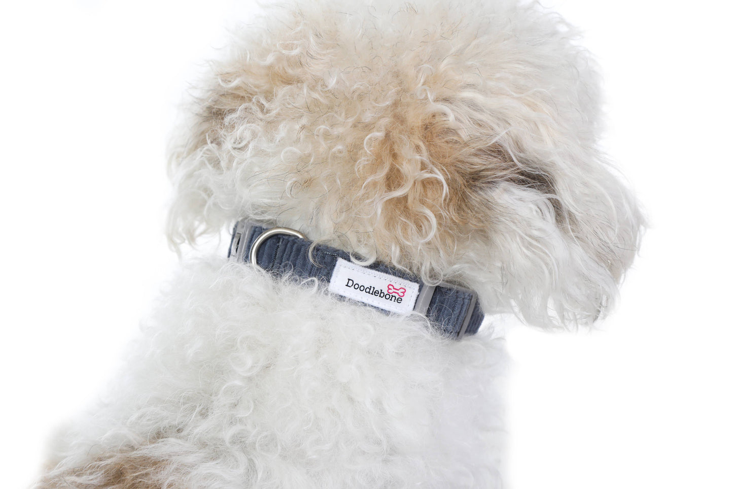Dinky Dog Collar : Chalky Blue / 0.5-1