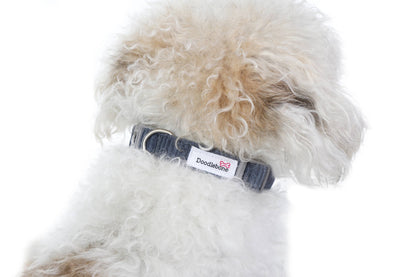 Dinky Dog Collar : Chalky Blue / 0.5-1
