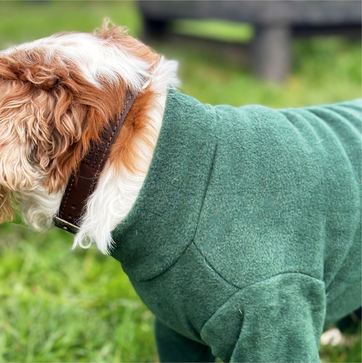 HugglePets Legacy Polar Fleece Dog Explorer: Khaki