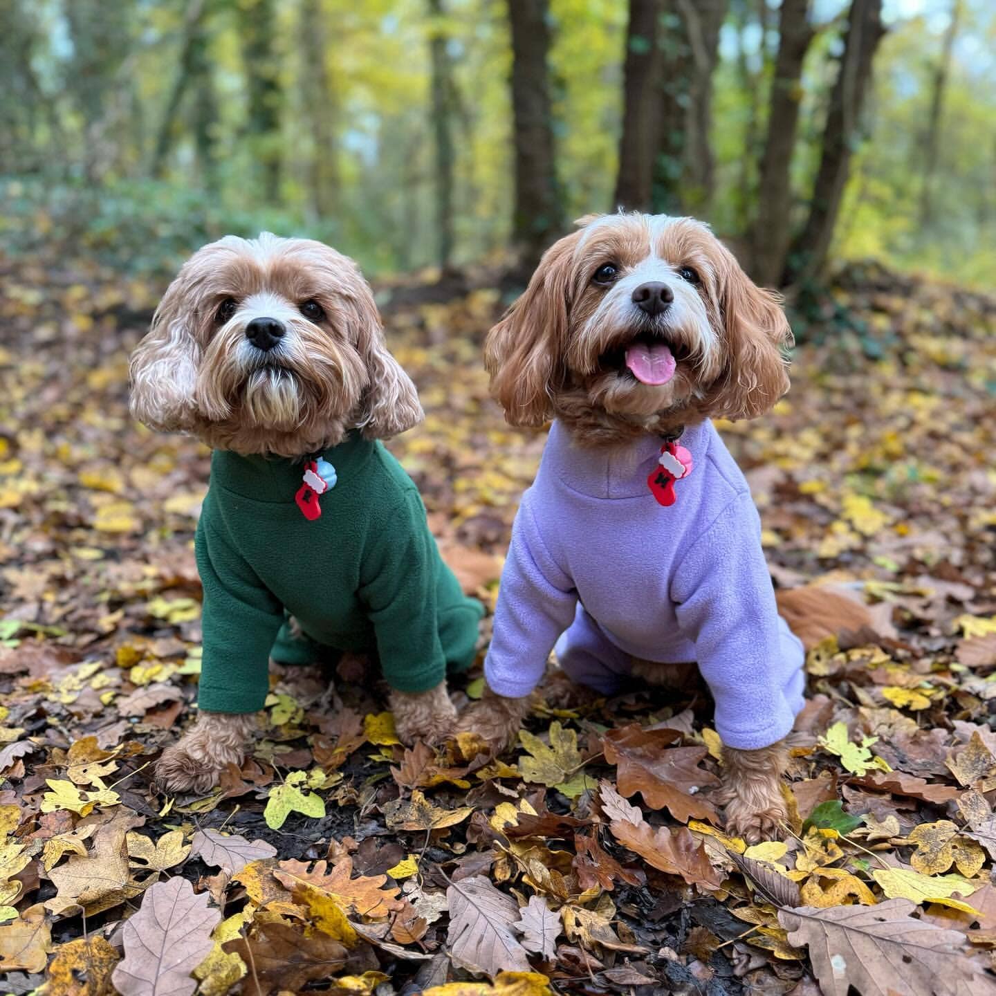 Pet Wiz Four Legged Dog Fleeces -Teal