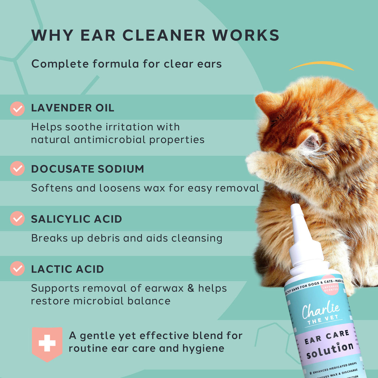 Cat with ear cleaner bottle and text explaining ear cleaner benefits on a green background