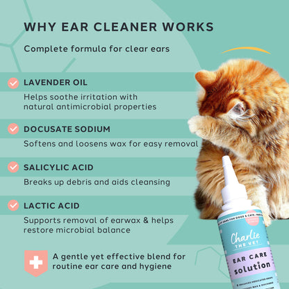 Cat with ear cleaner bottle and text explaining ear cleaner benefits on a green background