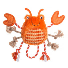 House of Paws Under the Sea Crab
