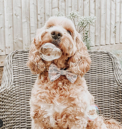 Meaty Bubbles Roast Chicken