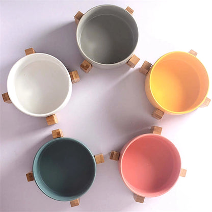 Pet Whiz Ceramic Bowl with Bamboo Stand - 5 colours