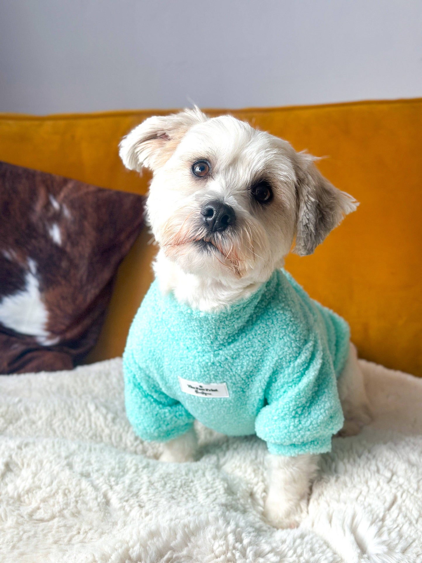 The Mint Teddy Fleece