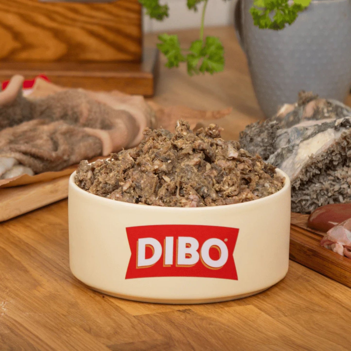 DIBO pet food in a bowl on a wooden surface