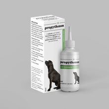 Dogs First Propythium Natural Ear Cleaner for Dogs 10ml Bottle