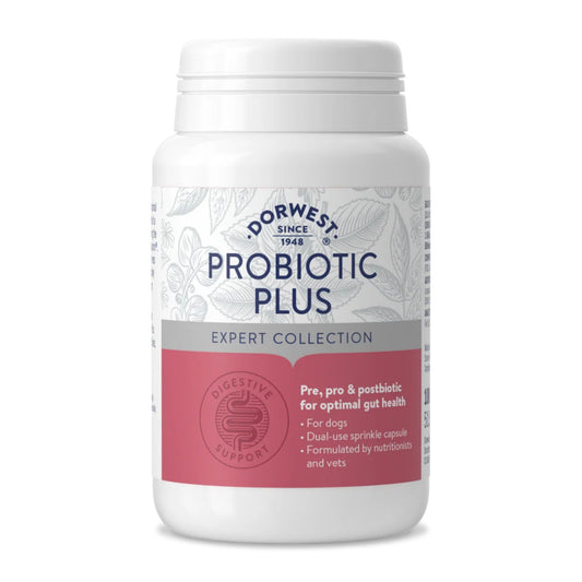 Dorwest Probiotic Plus supplement container on a white background