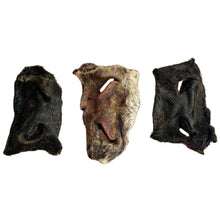 Three dried beef noses on a white background