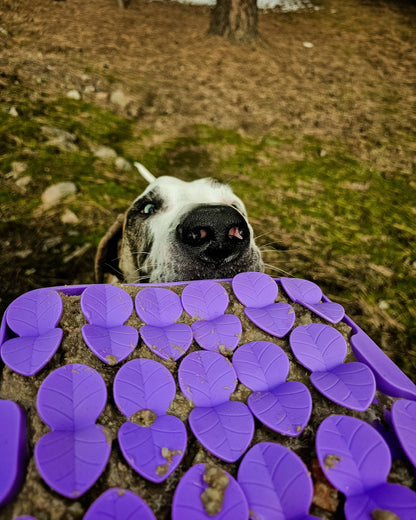 Spunky Pup Lick Pad - Slow Feeder Duos: Petal