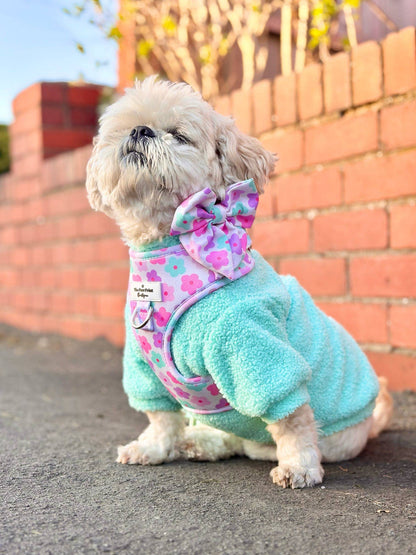 The Mint Teddy Fleece