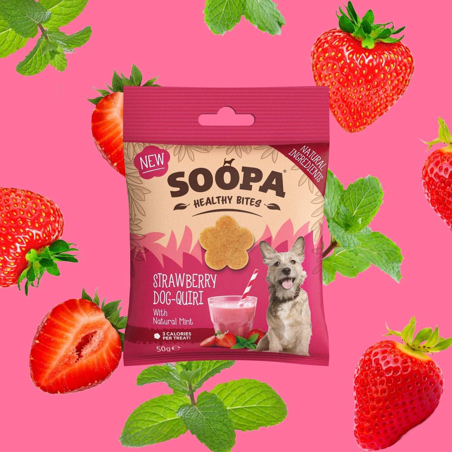 Strawberry Dog-Queri Bites