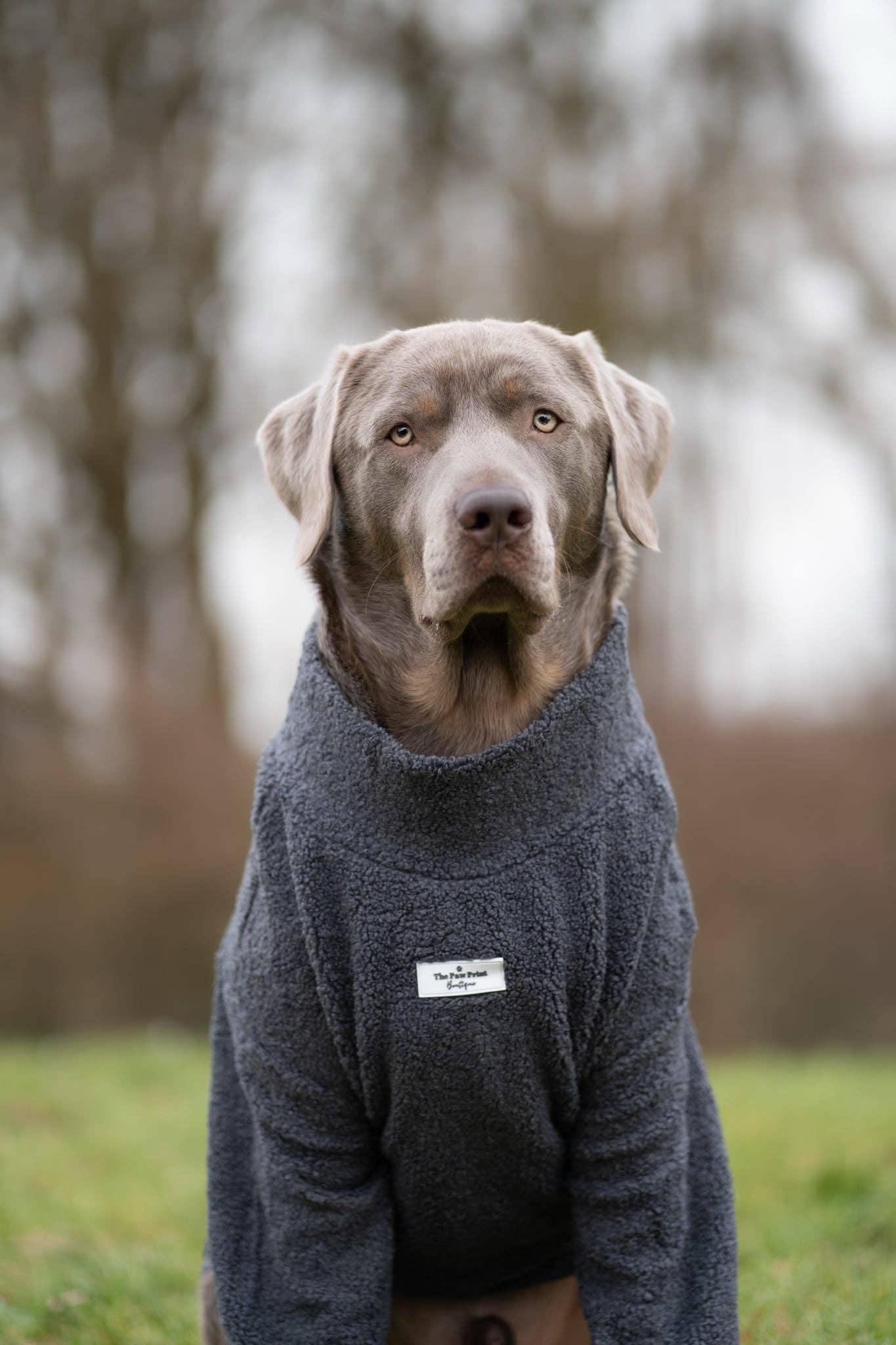 The Charcoal Grey Teddy Fleece