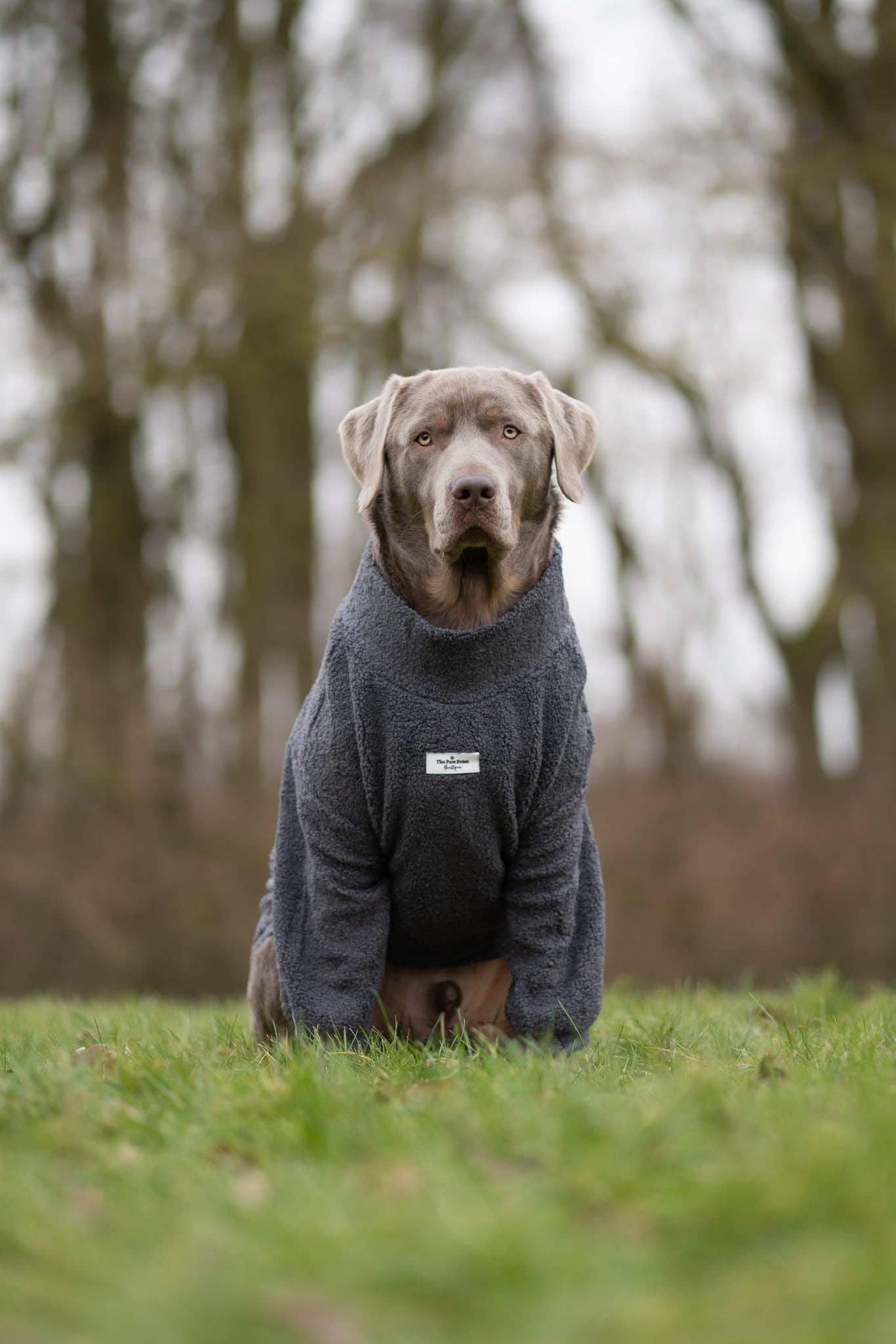The Charcoal Grey Teddy Fleece
