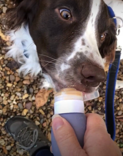 Dog Training Reward: Pink / Medium