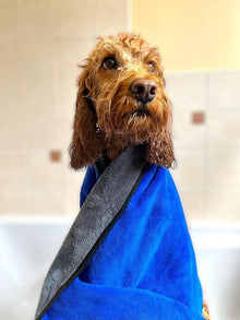 Pet Wiz Microfibre Towel XL