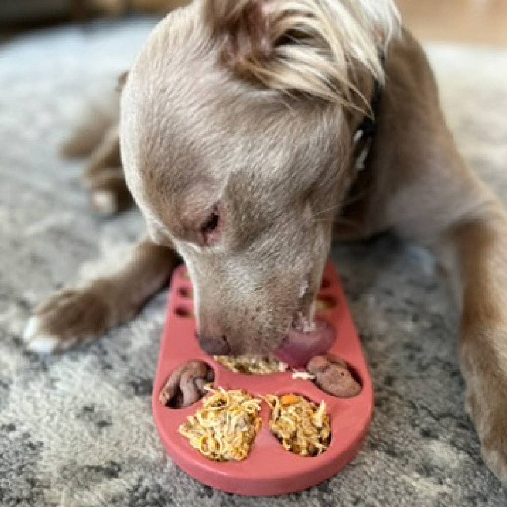 FreezPaw Mat Navy up to 140lbs dogs