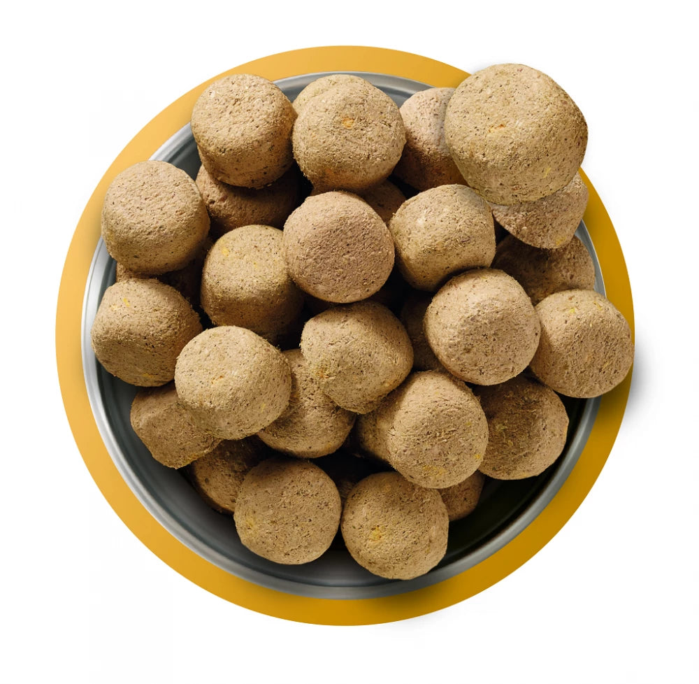 Natures Menu Complete Freeze Dried Food 80/20 Chicken